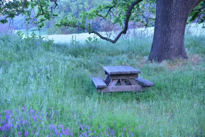 DSC_6233 (Large).JPG